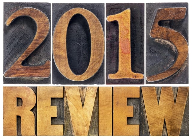 The Life You Can Save’s 2015 Year in Review