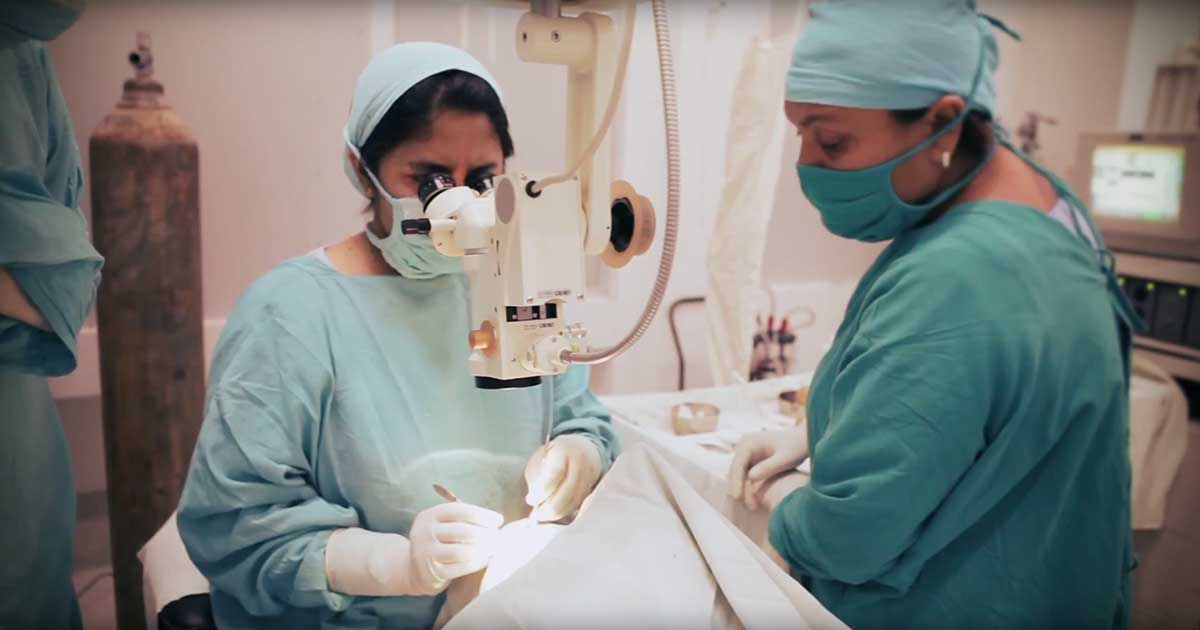 Seva updates: Awards, Accomplishments, and Larry Brilliant’s new memoir