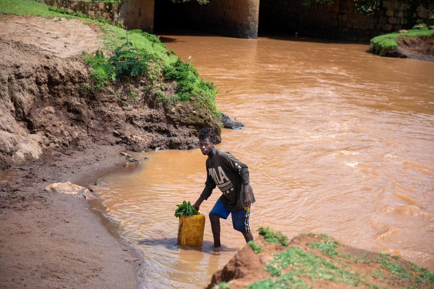The Fight Must Go On: the importance of supporting health interventions for schistosomiasis in Ethiopia