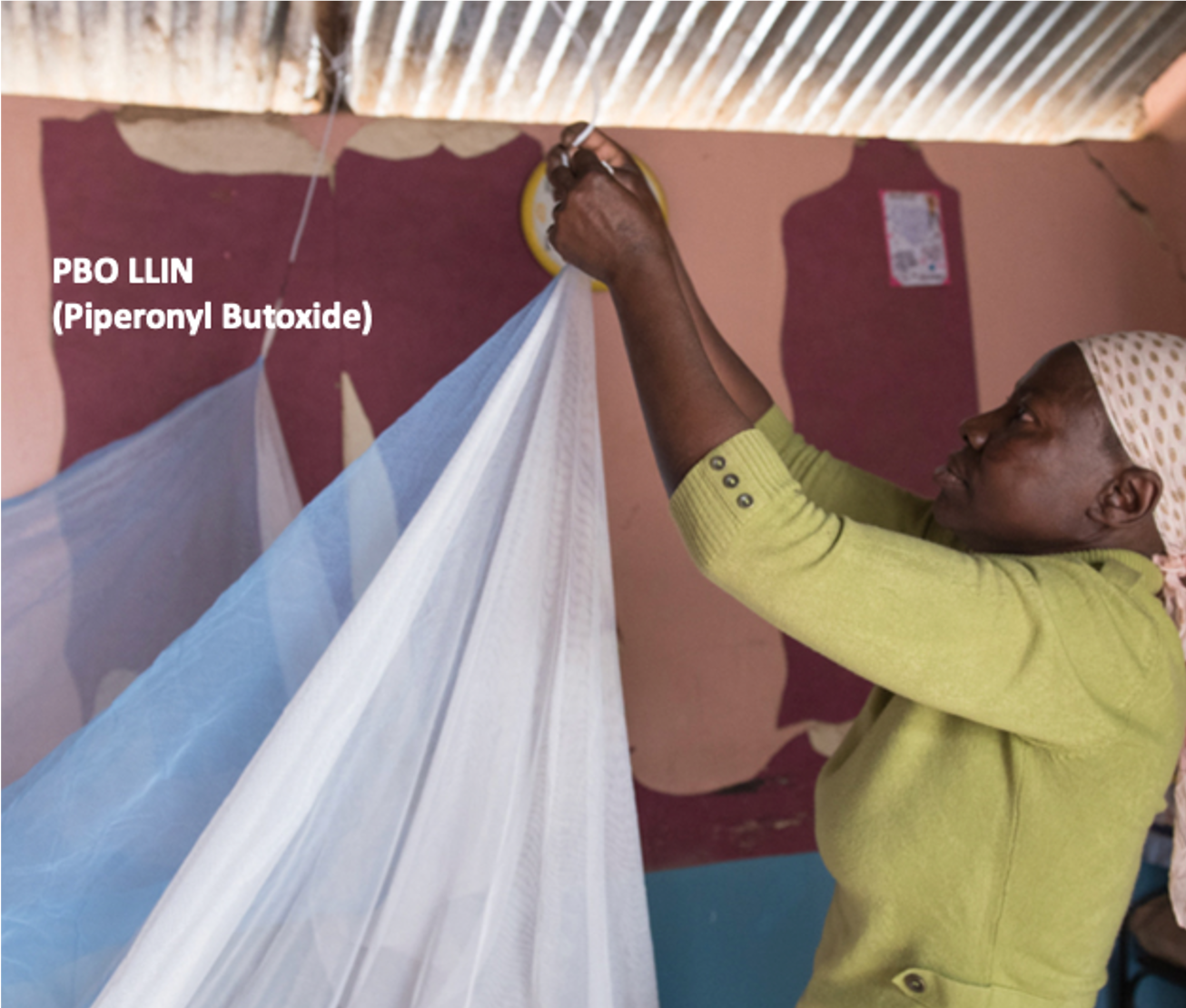 PBO Nets: First Trial Results Released