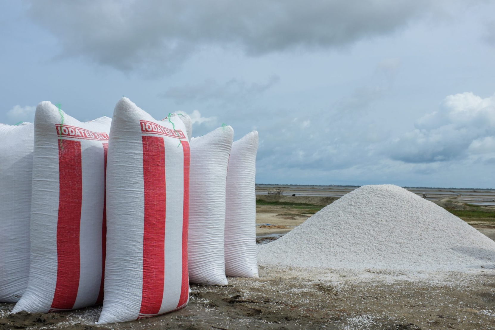 Preventing iodine deficiency with IGN